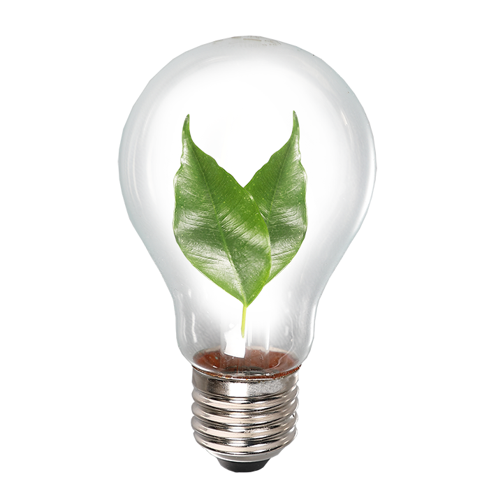 Glühbirne in der zwei Blätter wachsen